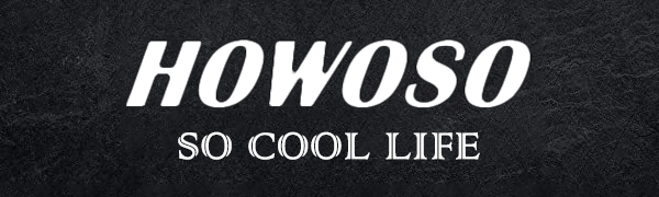 HOWOSO LOGO1